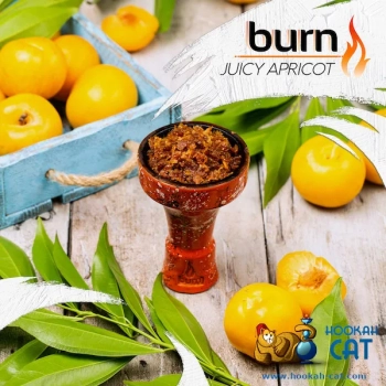 Burn Juicy apricot 100гр