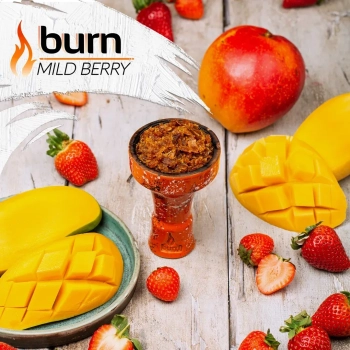 Burn Mild berry 100гр