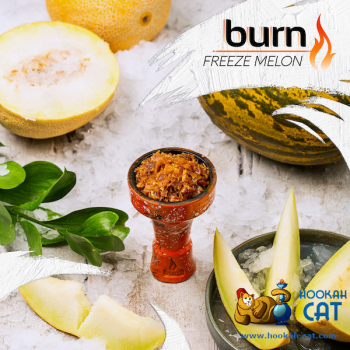 Burn Freeze melon 200гр