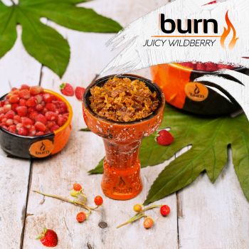 Burn Juicy wildberry 200гр