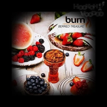 Burn Berried treasure 25гр