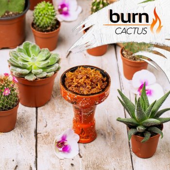 Burn Cactus 25гр