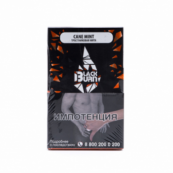Burn BLACK Cane mint 100гр