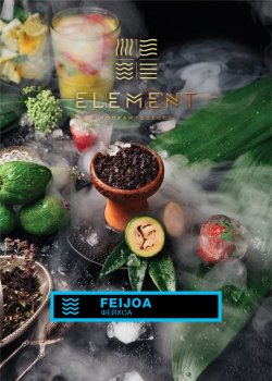 Element ВОДА Feijoa 200гр