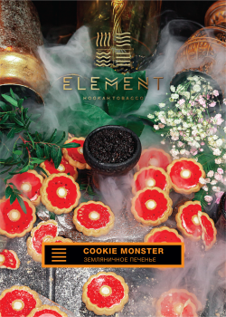 Element ЗЕМЛЯ Cookie Monster 25гр