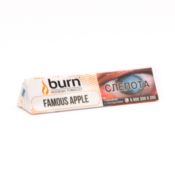 Burn Famous apple 25гр