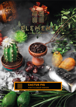 Element ЗЕМЛЯ Cactus fig 25гр