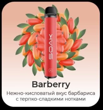SOAK X Barberry 1500 затяжек