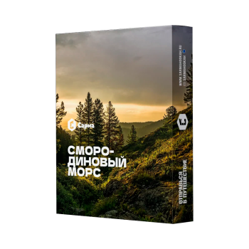 Табак для кальяна "Сарма" Смородиновый морс 25гр