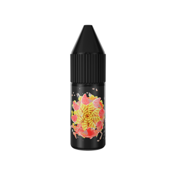 Жидкость SOAK Mango Aperol 10 мл 2 мг