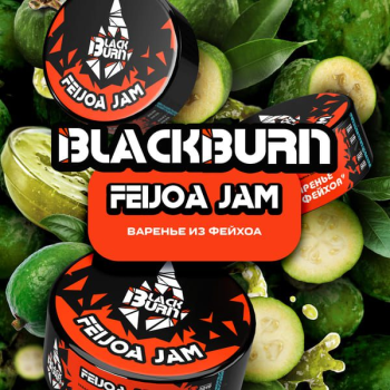Burn BLACK Feijoa jam 25гр
