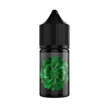 Жидкость SOAK L30 Cane Mint 30 мл 2 мг