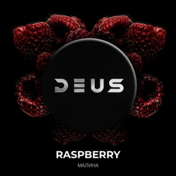 DEUS Raspberry 100гр