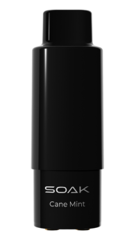 SOAK Q Тростниковая мята 3000 затяжек