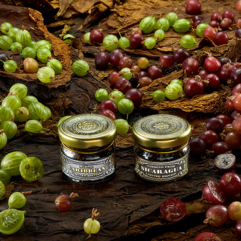 Табак WTO Nicaragua – Крыжовник 20 гр.