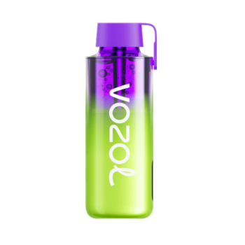 Эл. сиг. VOZOL NEON 10000 Raspberry Watermelon / Малина арбуз 2 %