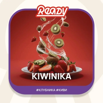Табак для кальяна Ready 25гр Kiwinika