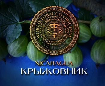 Табак WTO Nicaragua – Крыжовник 20 гр.