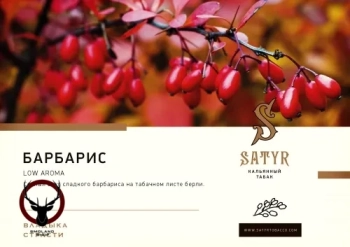 Satyr Barberry 25гр