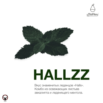 Табак для кальяна MattPear Hallzz 250 гр. (Холс)