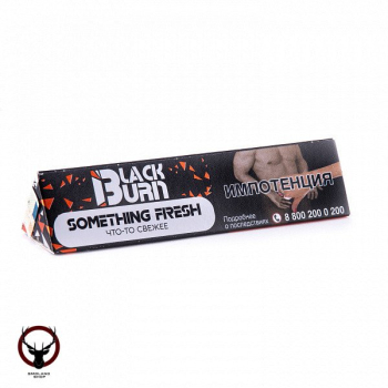 Burn BLACK Something fresh 25гр