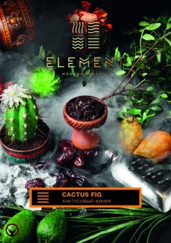Element ЗЕМЛЯ Cactus Fig 40гр