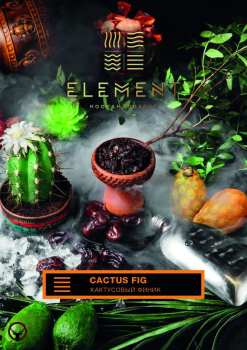 Element ЗЕМЛЯ Cactus Fig 100гр