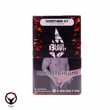 Burn BLACK Something icy 100гр А