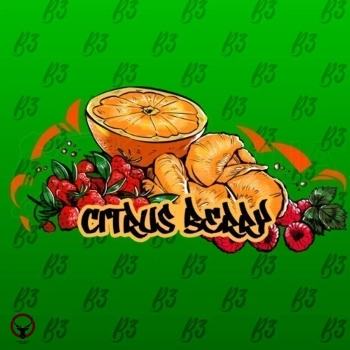 B3 Berry citrus 250гр АТП