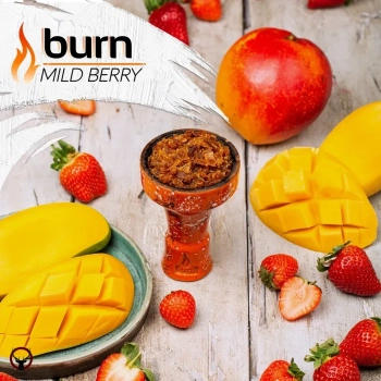 Burn Mild berry 100гр
