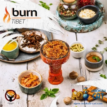 Burn Tibet 100гр