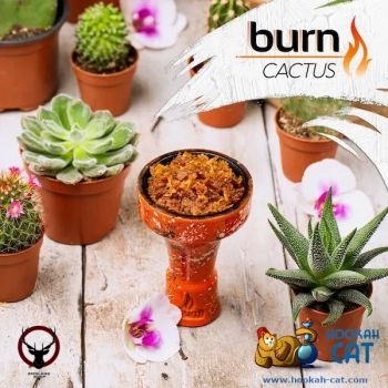 Burn Cactus 200гр
