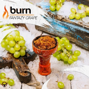 Burn Fantazy grape 200гр
