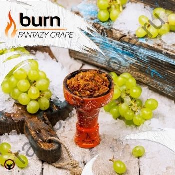 Burn Fantazy grape 25гр