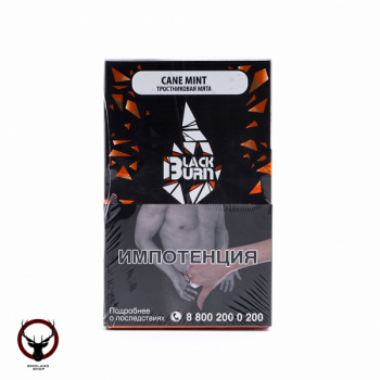 Burn BLACK Cane mint 100гр