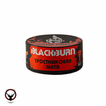 Burn BLACK Cane mint 25гр