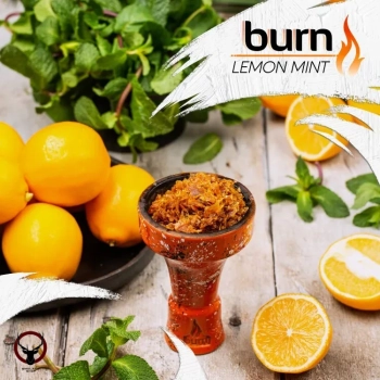 Табак для кальяна Burn Lemon mint 100гр