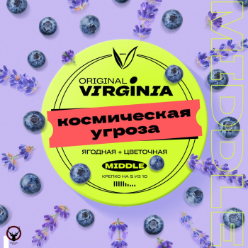 Original Virginia Middle Космическая угроза 25гр